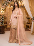 3 Pcs Fancy Plazo Dress KF-957