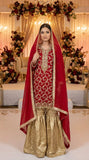 4 Pcs Fancy Gharara Dress KF-978