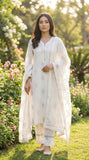 3 Pcs Fancy Lawn Cotton Dress KF-1137