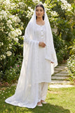 3 Pcs Lawn Chicken Dress KF-1138