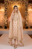 3 Pcs Fancy Dress KF-913