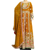 Women Fency Party Wear Dress KF-7473