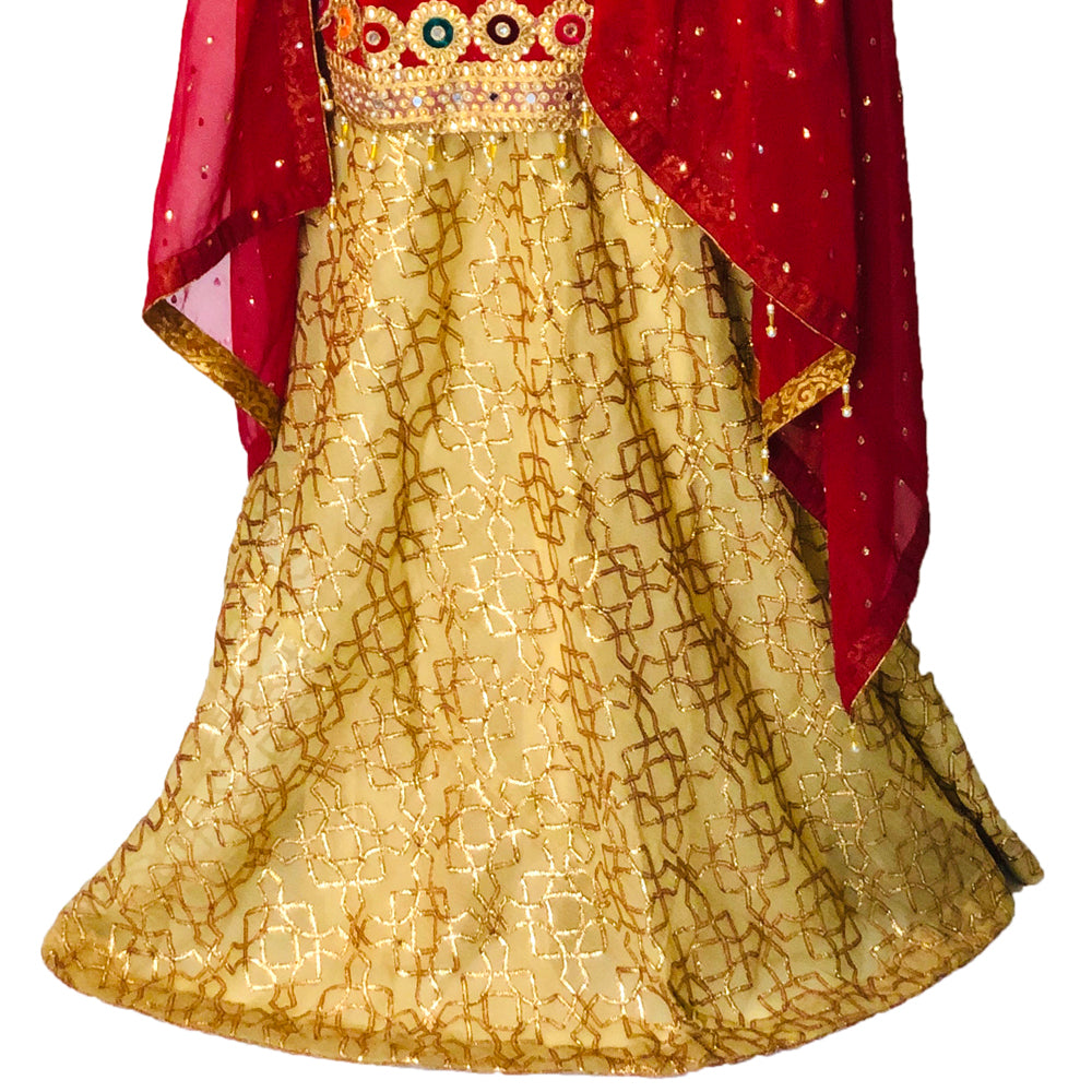 Red and Golden Chiffon Lehenga Suit, Lehnga-007